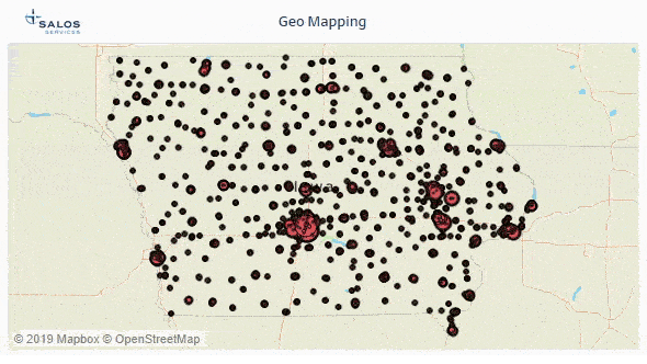 Geo-Mapping Report